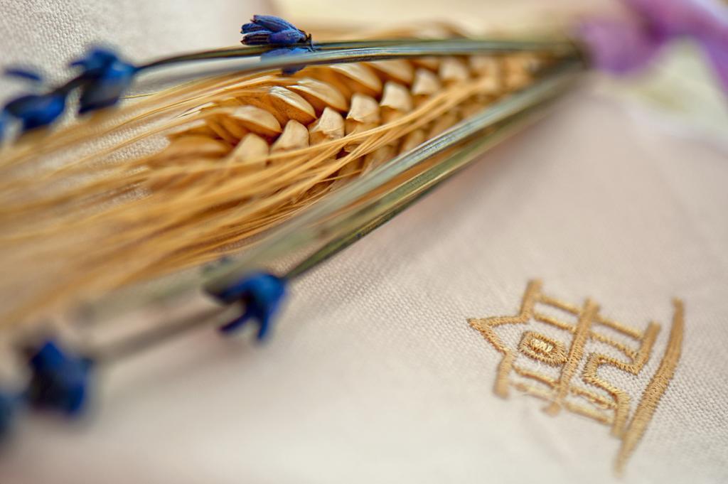 Tenuta Ippocrate Montefredane エクステリア 写真