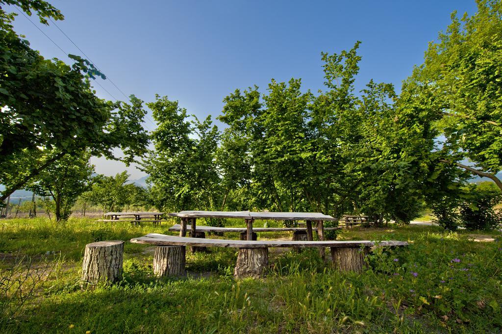 Tenuta Ippocrate Montefredane エクステリア 写真